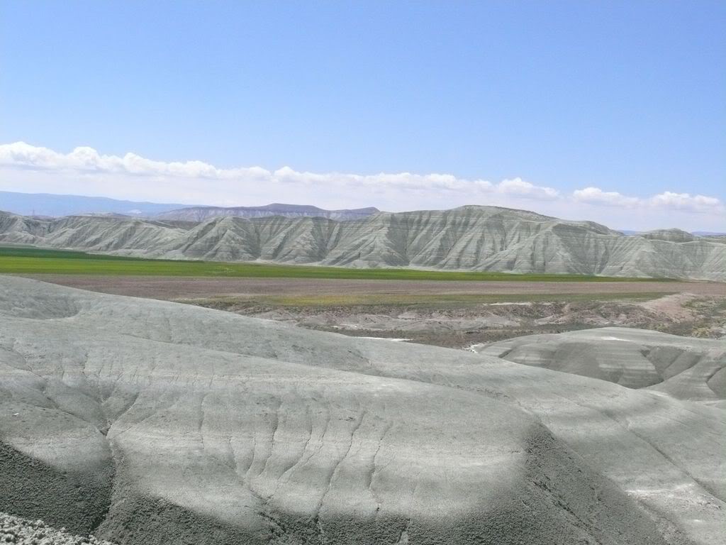 P1020192.jpg