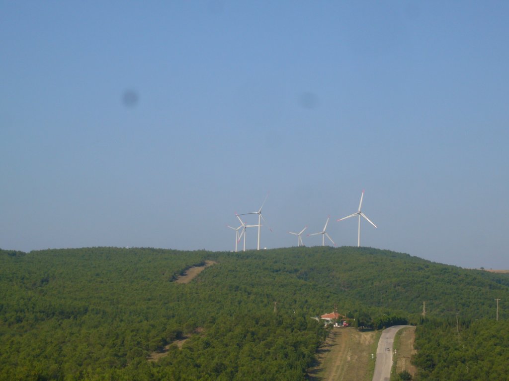 P1020203.JPG
