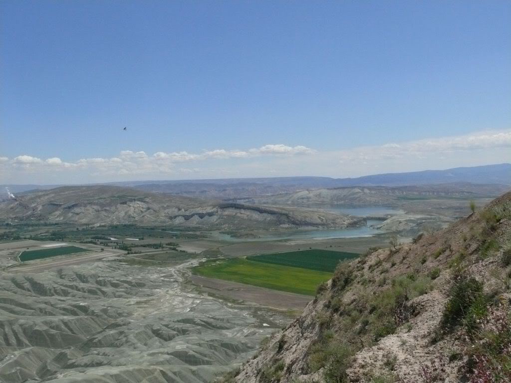 P1020231.jpg