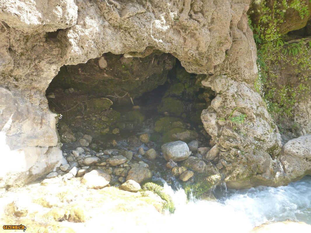 P1020255.JPG