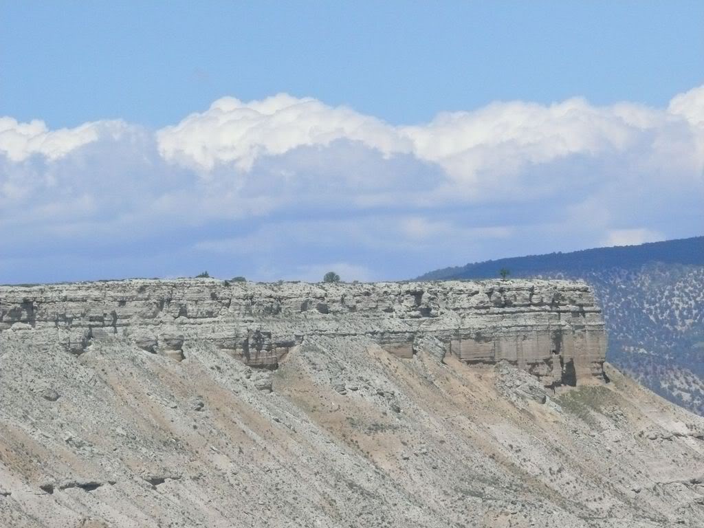 P1020266.jpg