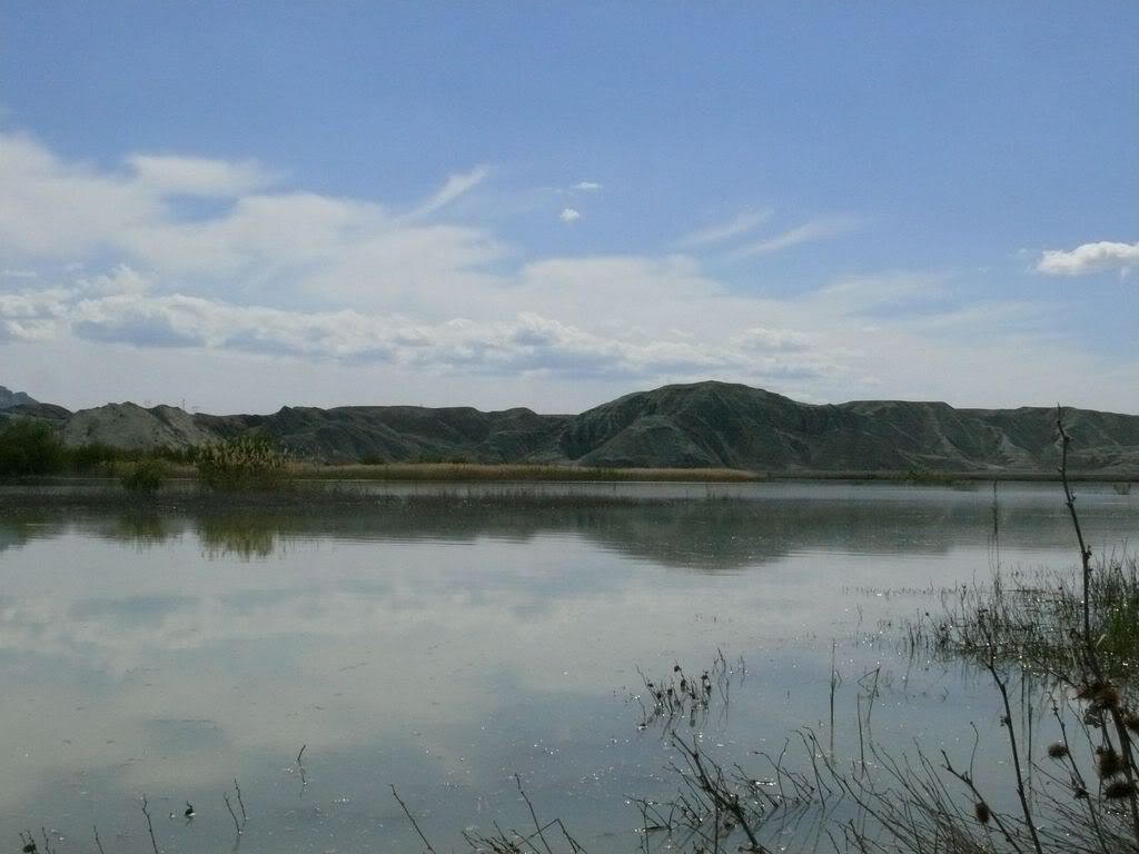 P1020283.jpg