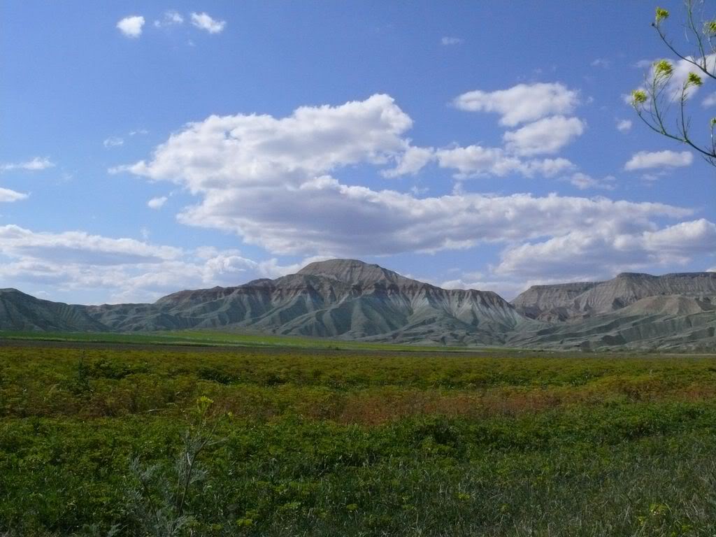 P1020321.jpg