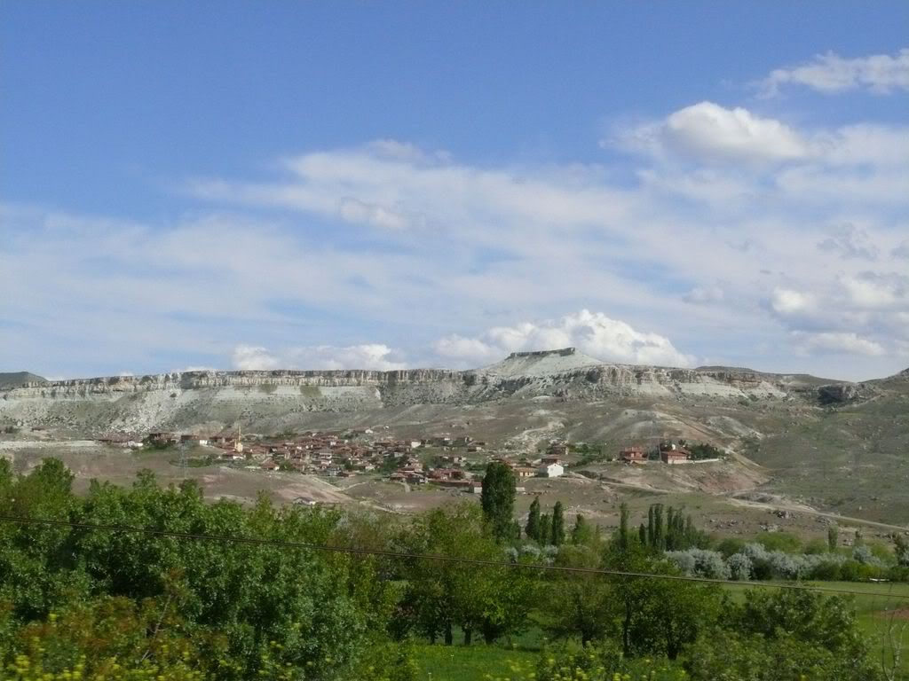 P1020330.jpg