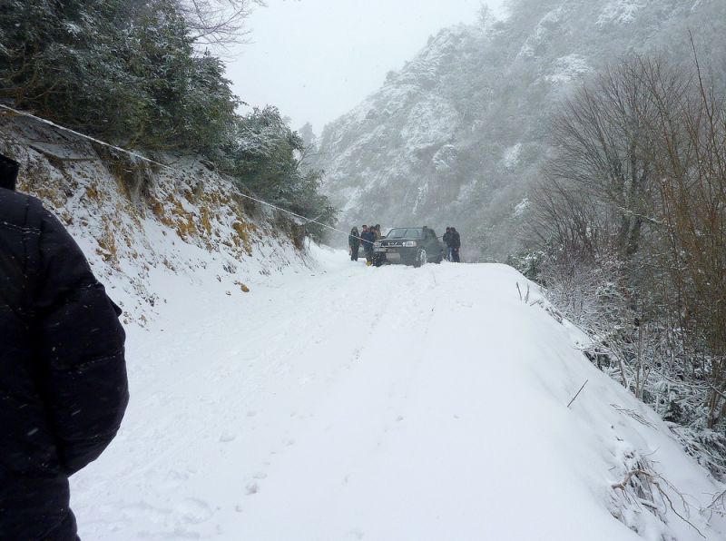 P1020447.jpg