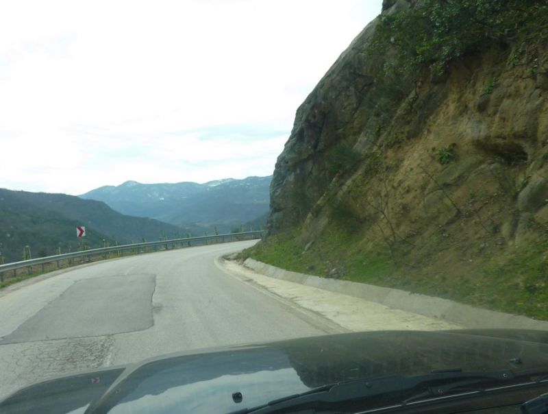 P1020628.jpg