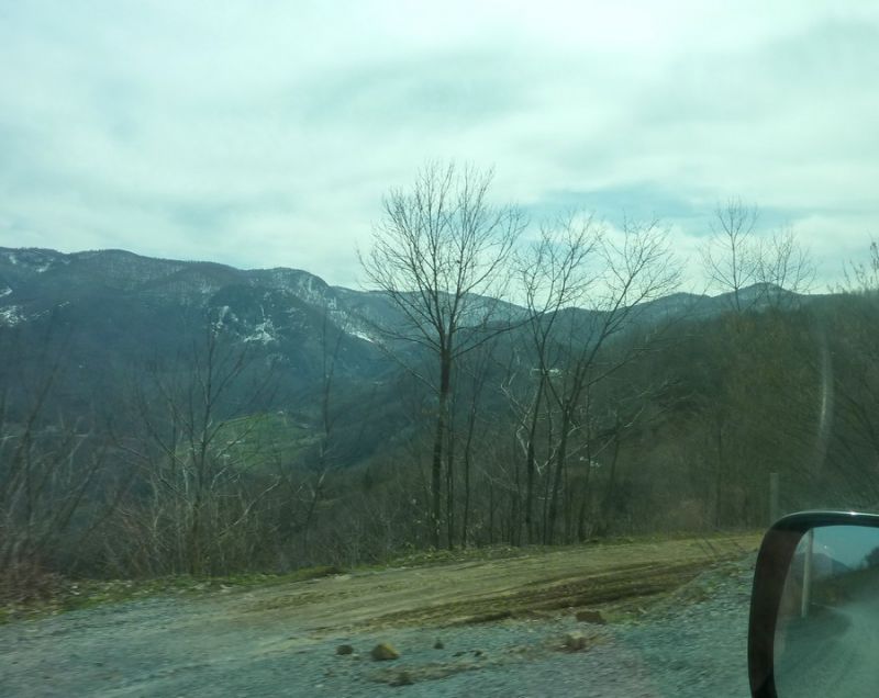 P1020630.jpg