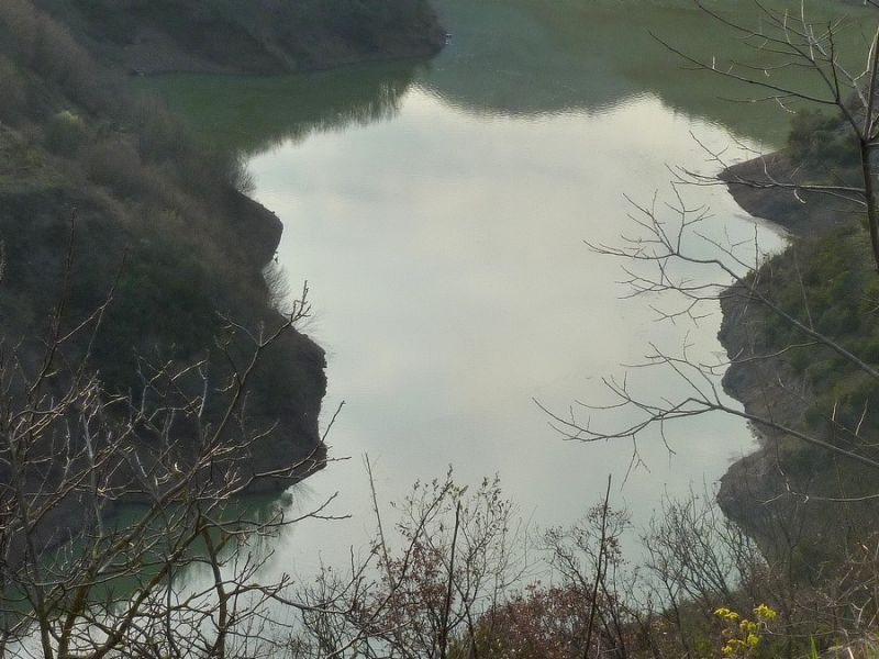 P1020654.jpg