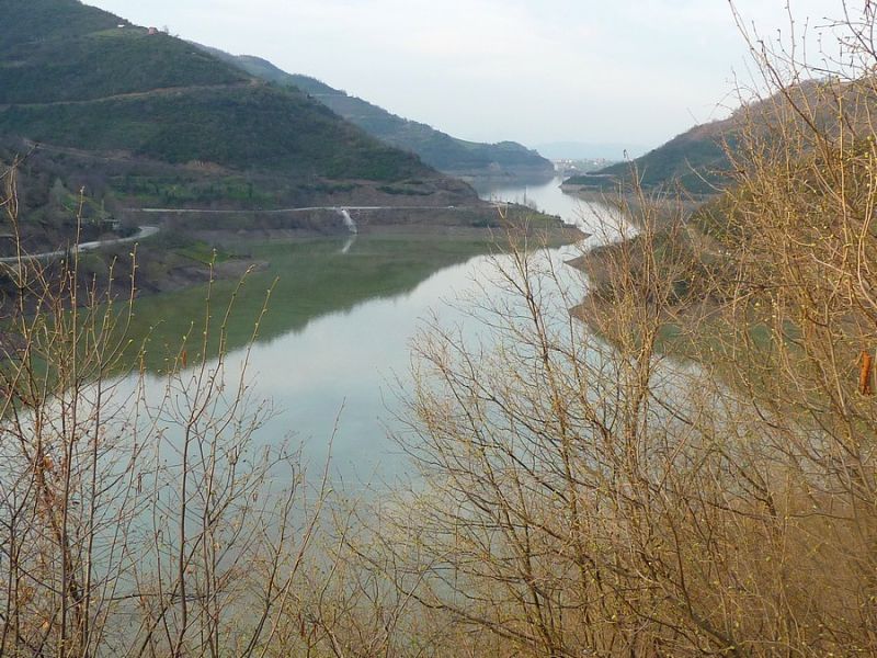 P1020655.jpg