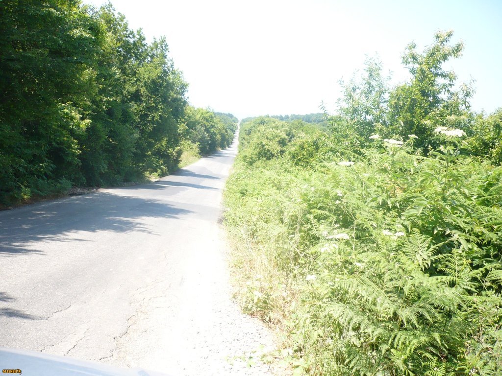 P1020779.JPG