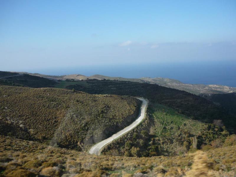 P1020800.jpg
