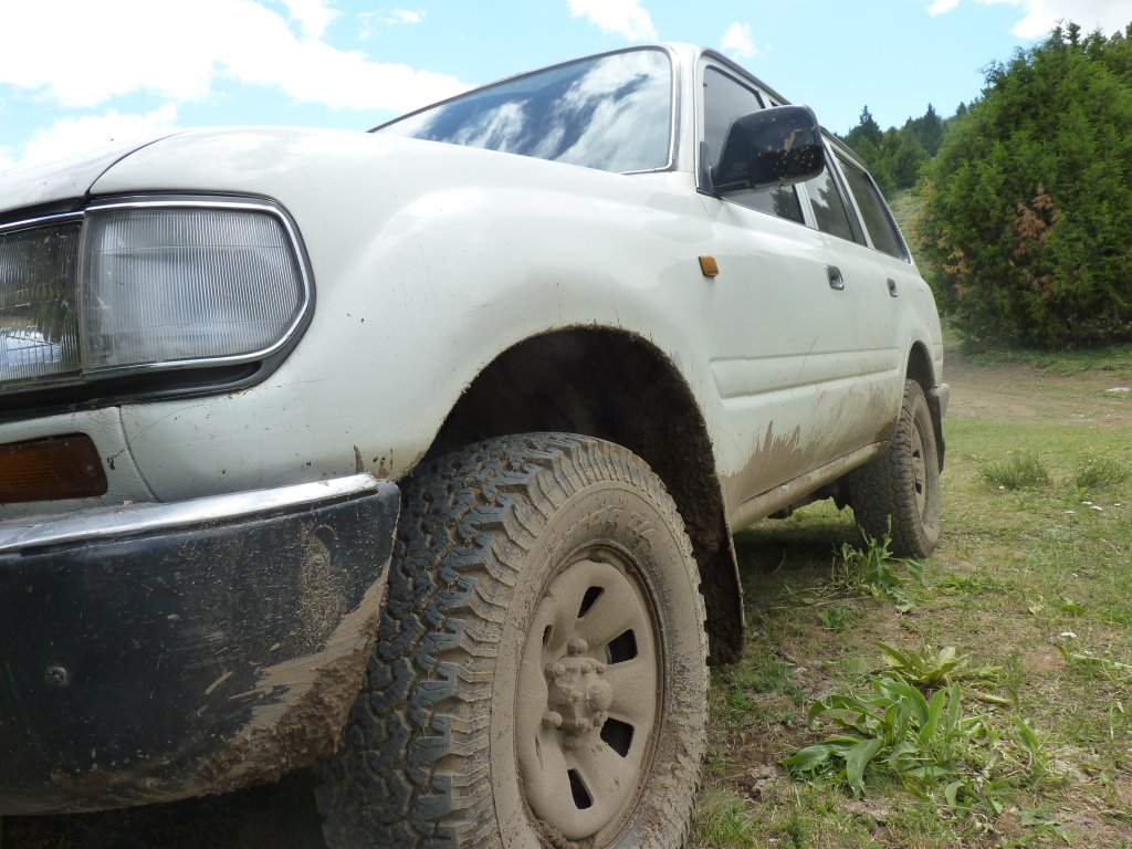 P1020816.JPG