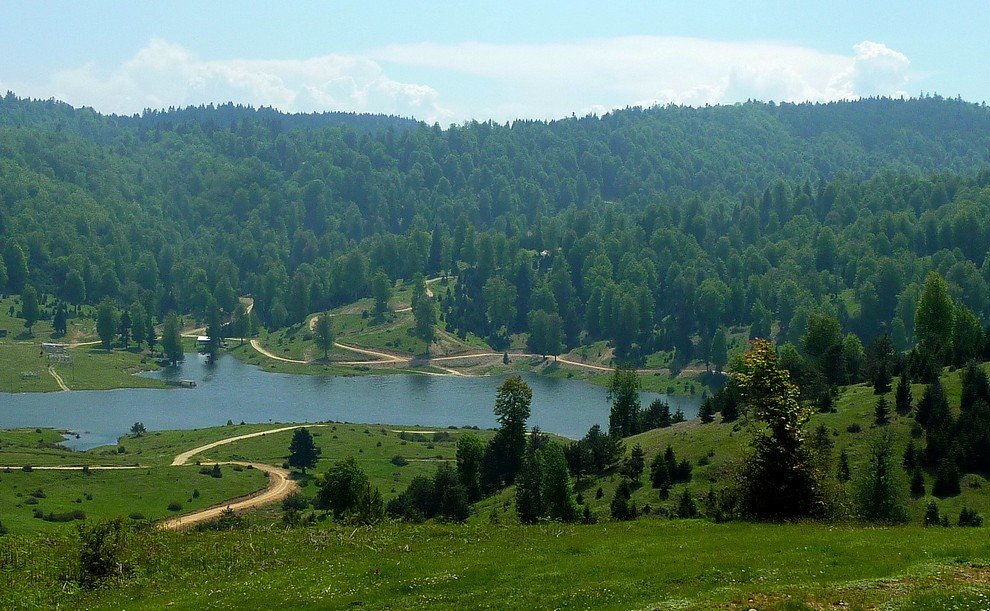 P1020905.JPG