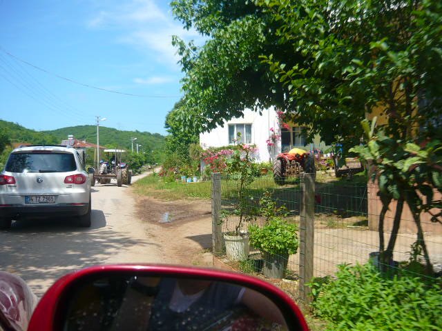 P1030079.JPG