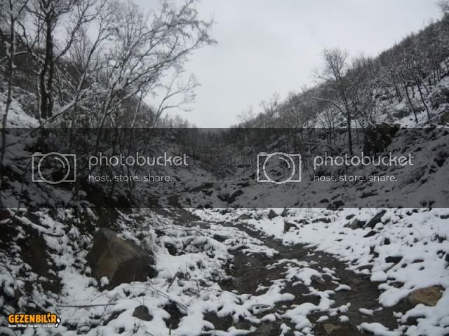 P1030202.jpg
