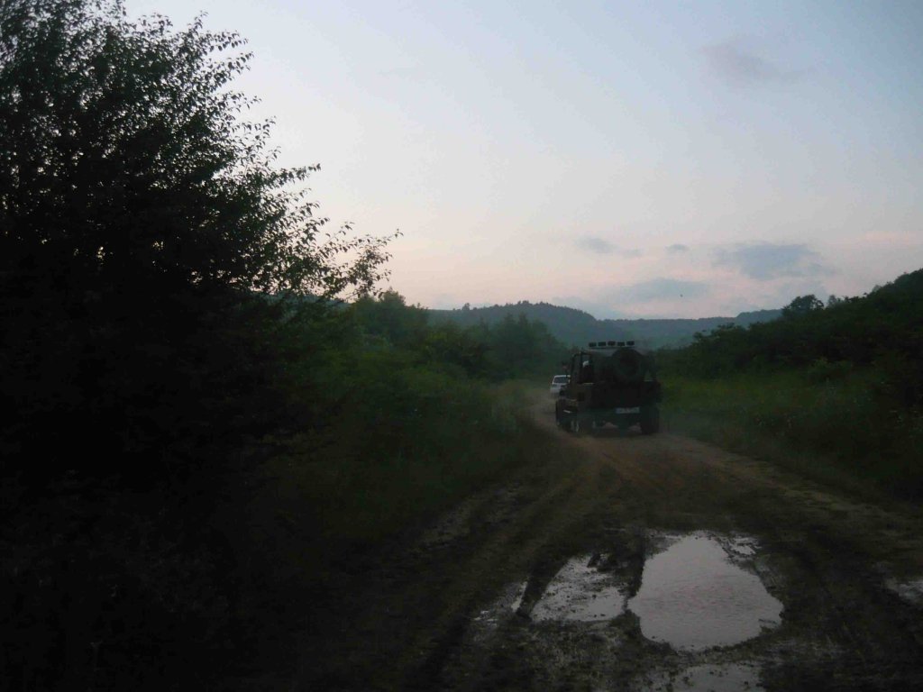 P1030239.jpg