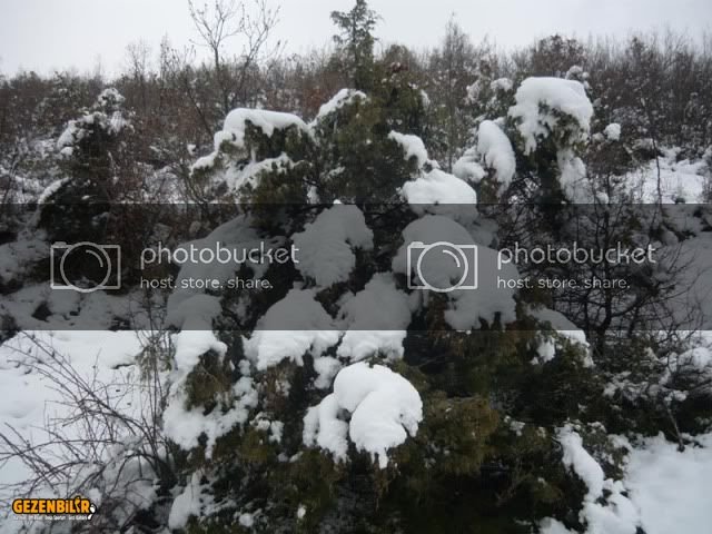 P1030251.jpg