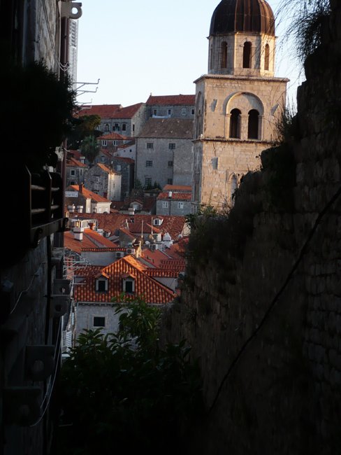 P1030433.jpg