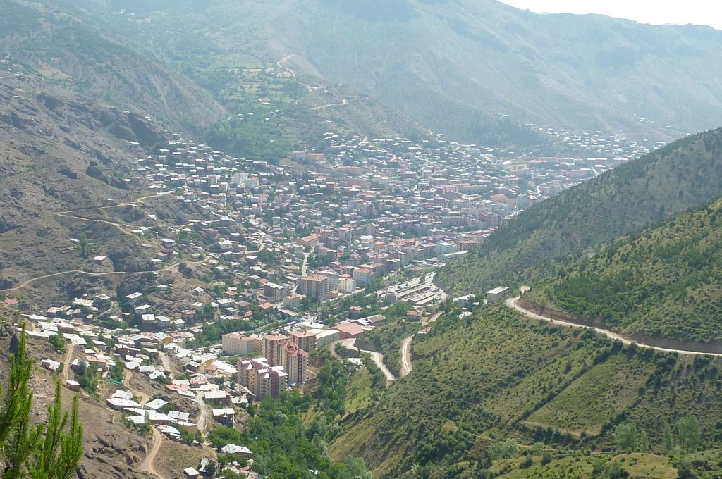 P1030476.jpg