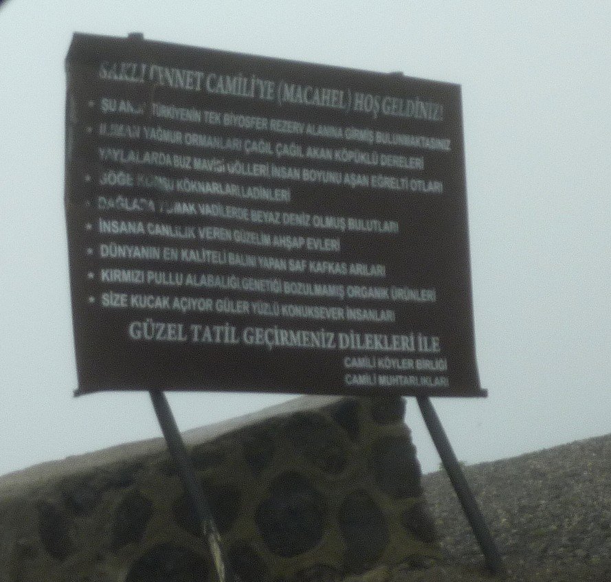 P1030653.JPG