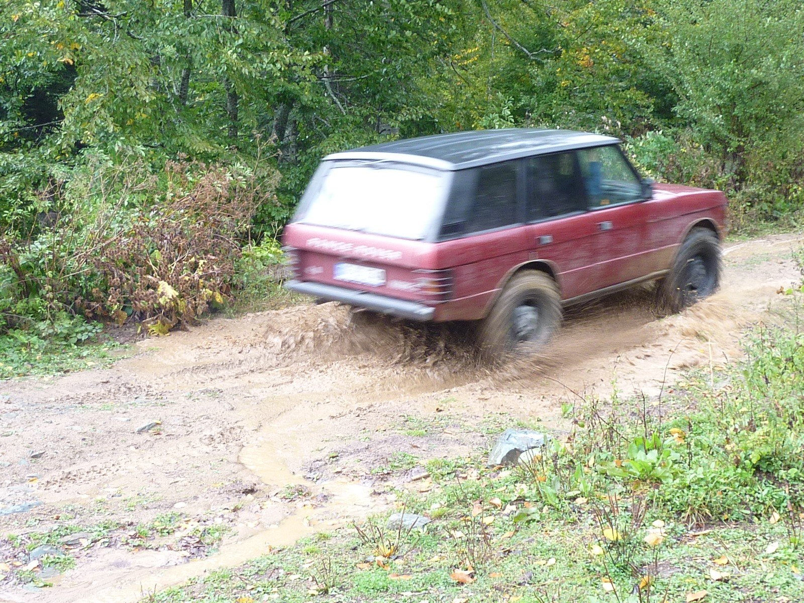 P1040216.jpg
