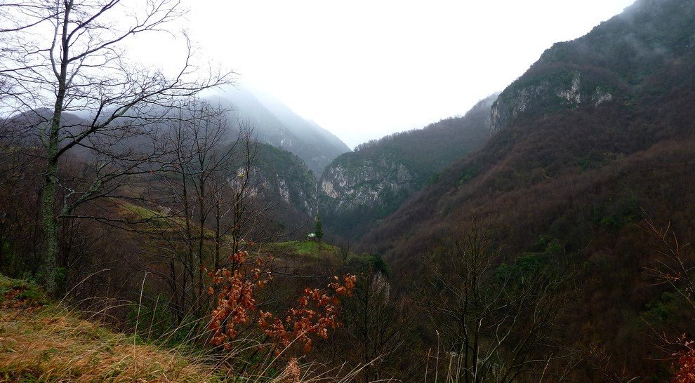 P1040335.JPG