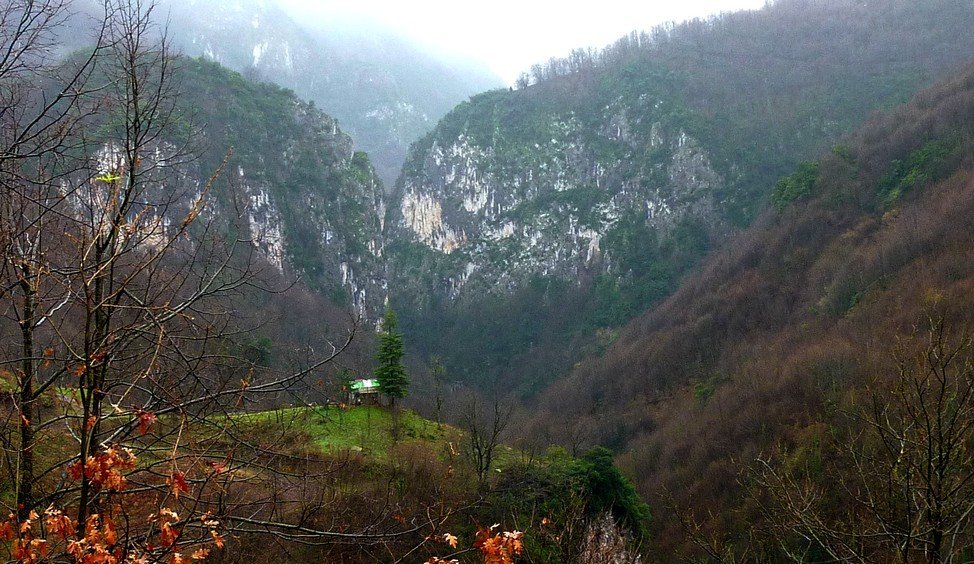 P1040336.JPG