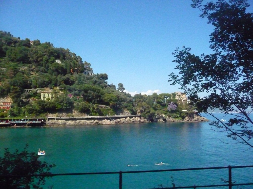 P1040425.jpg