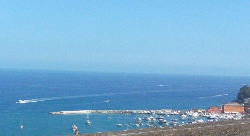 P1040438.jpg