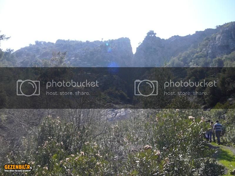 P1040447.jpg