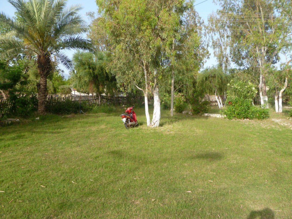 P1040991.JPG