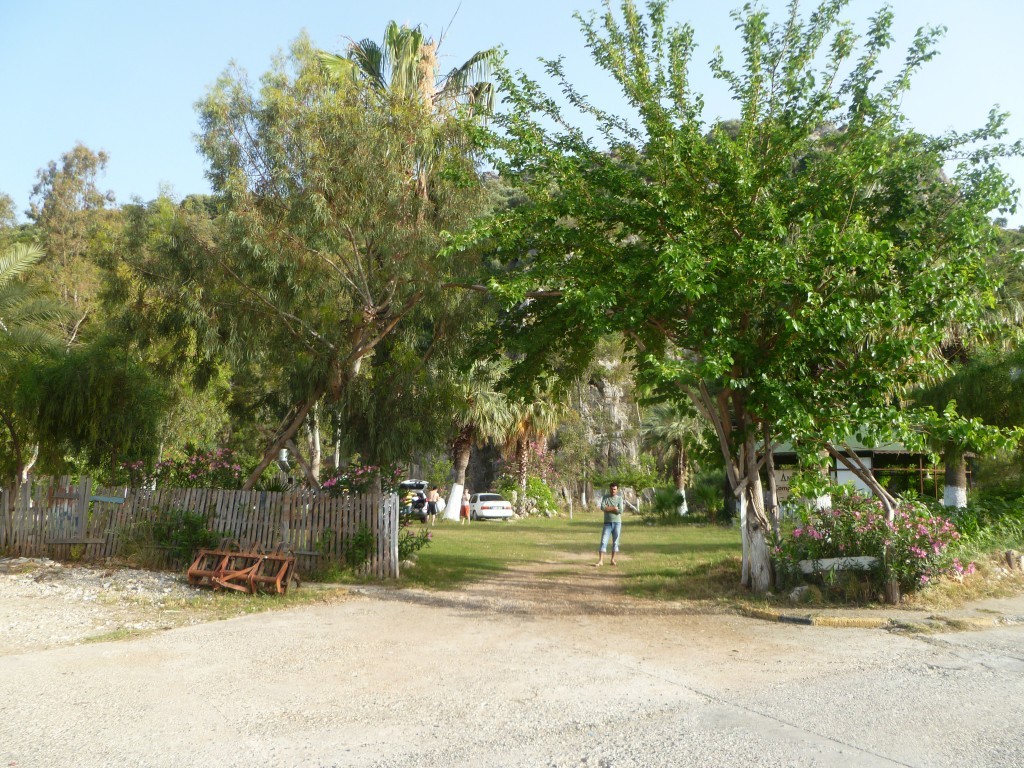P1040994.JPG