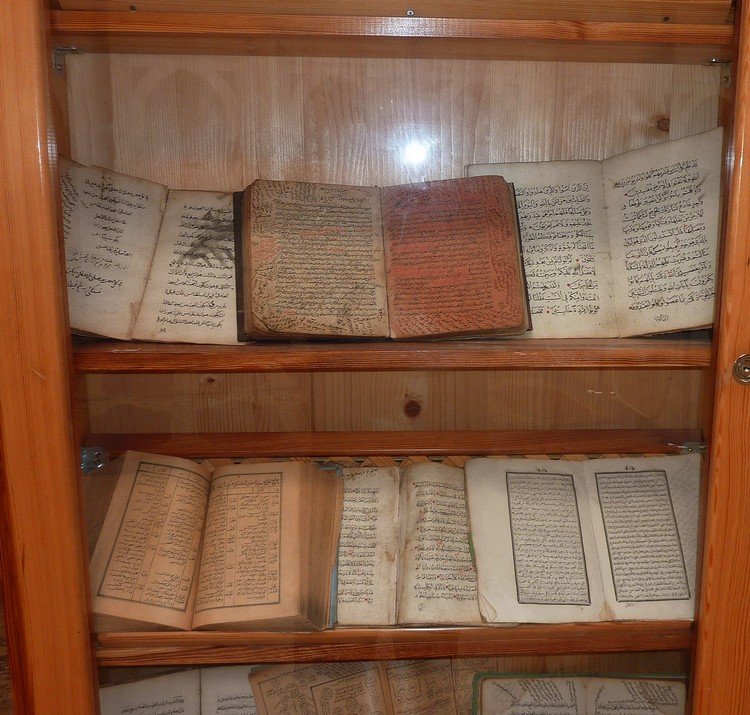 P1050429.JPG