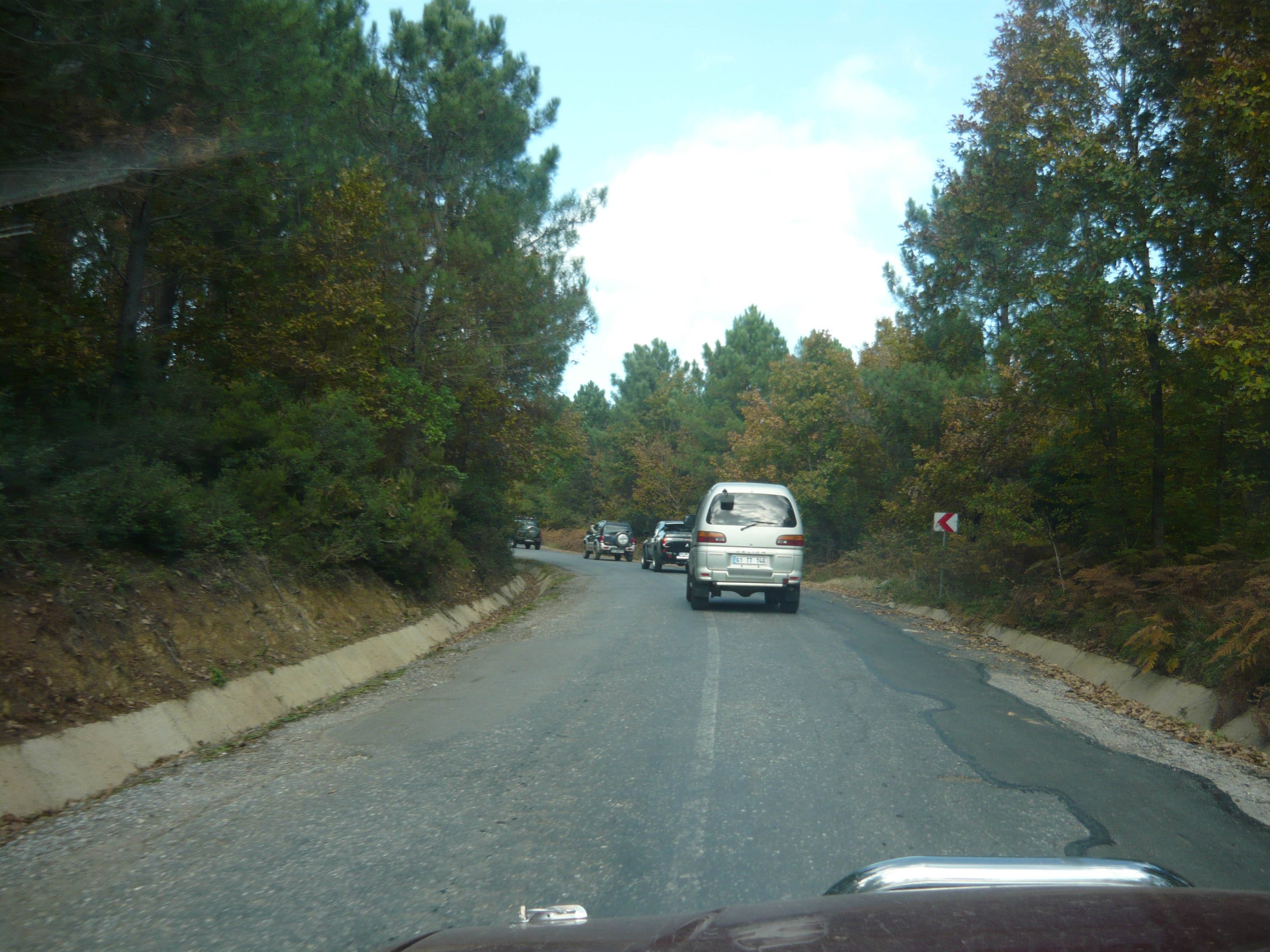 P1050529.jpg