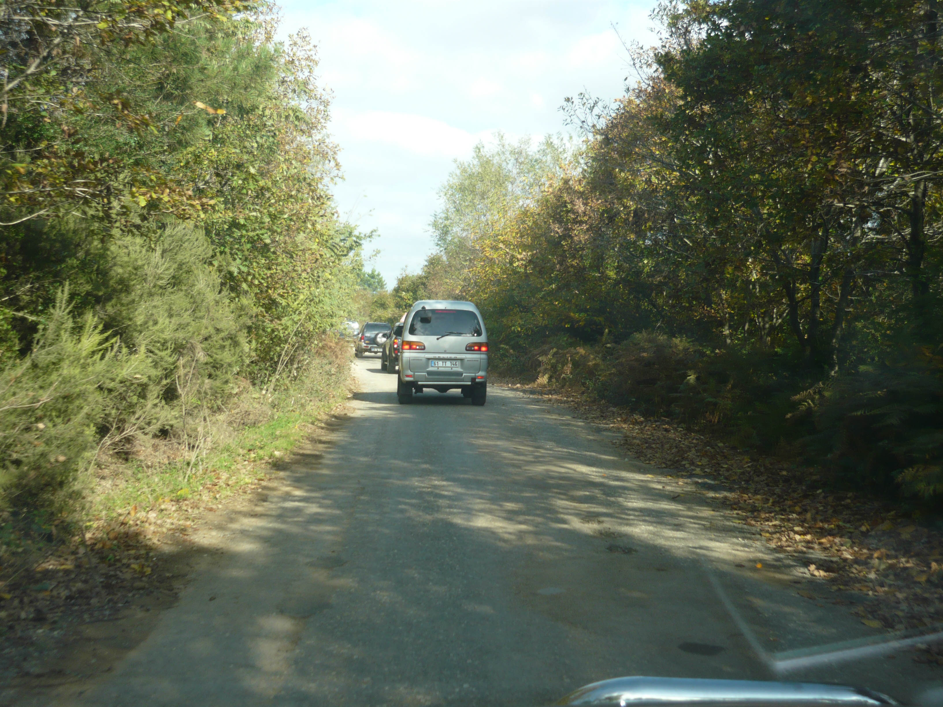 P1050533.jpg