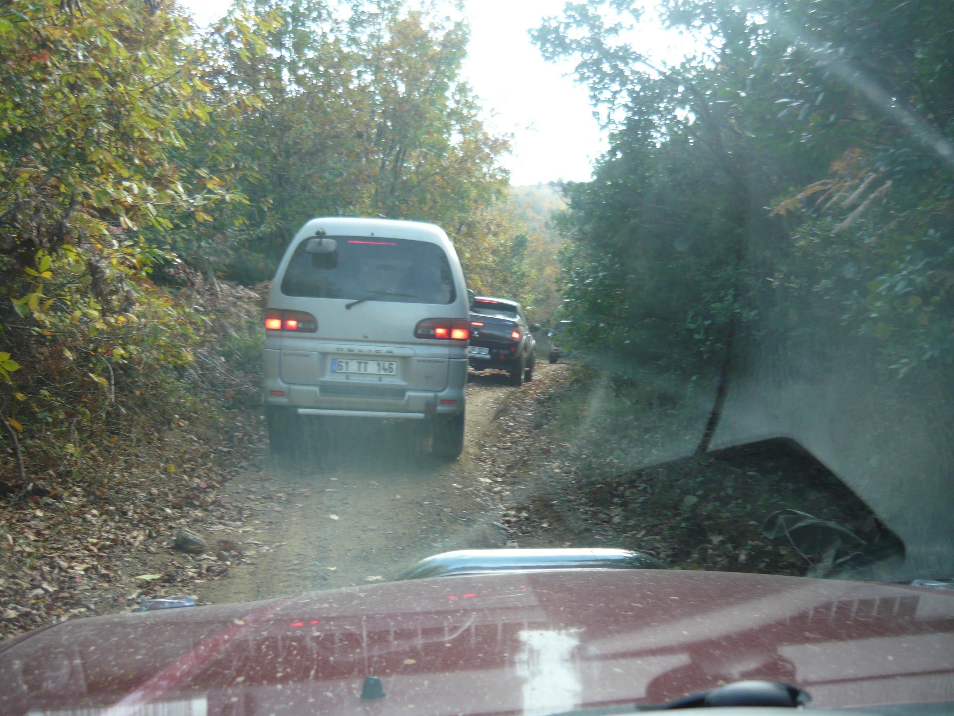 P1050539.jpg