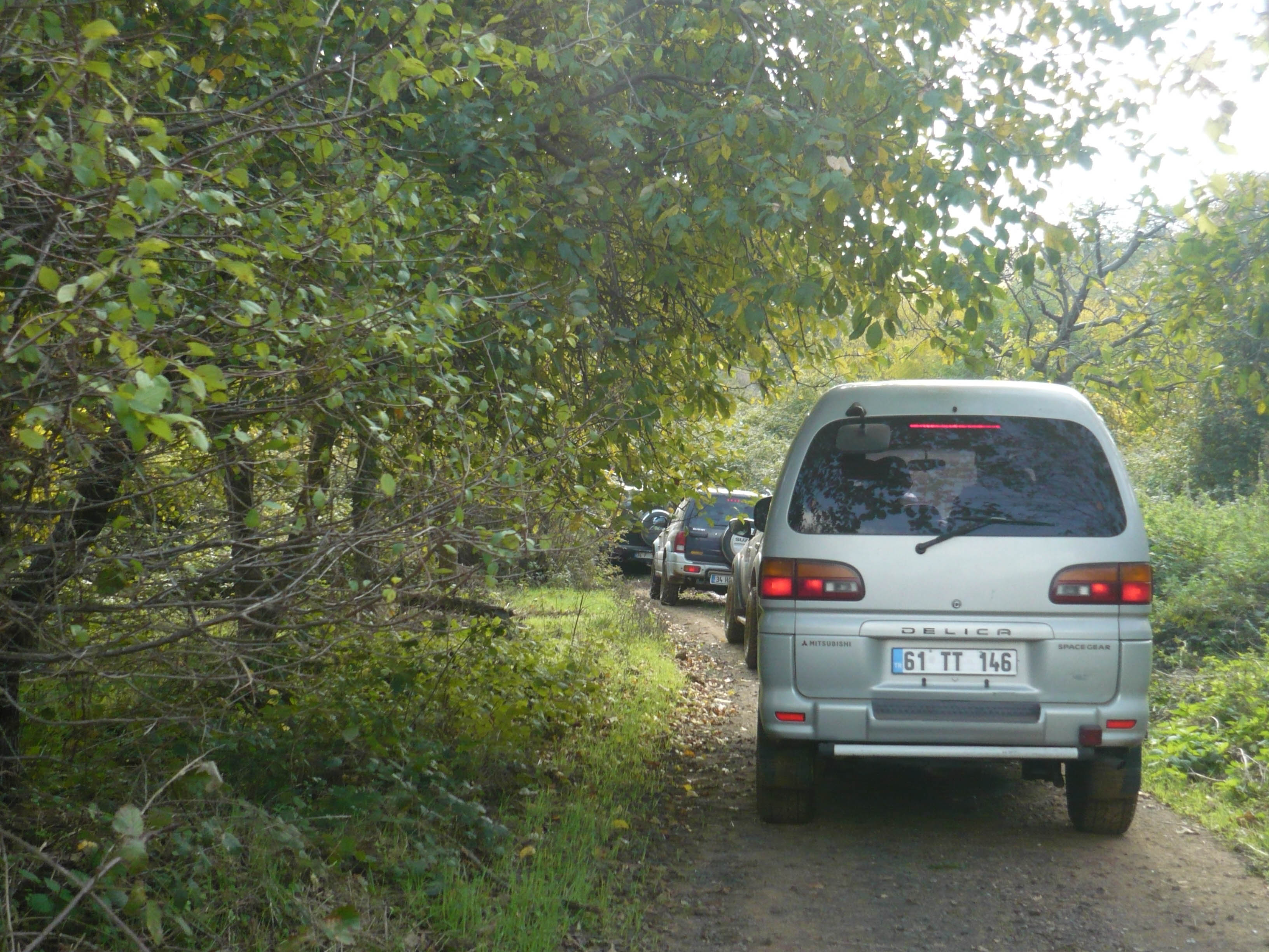 P1050541.jpg