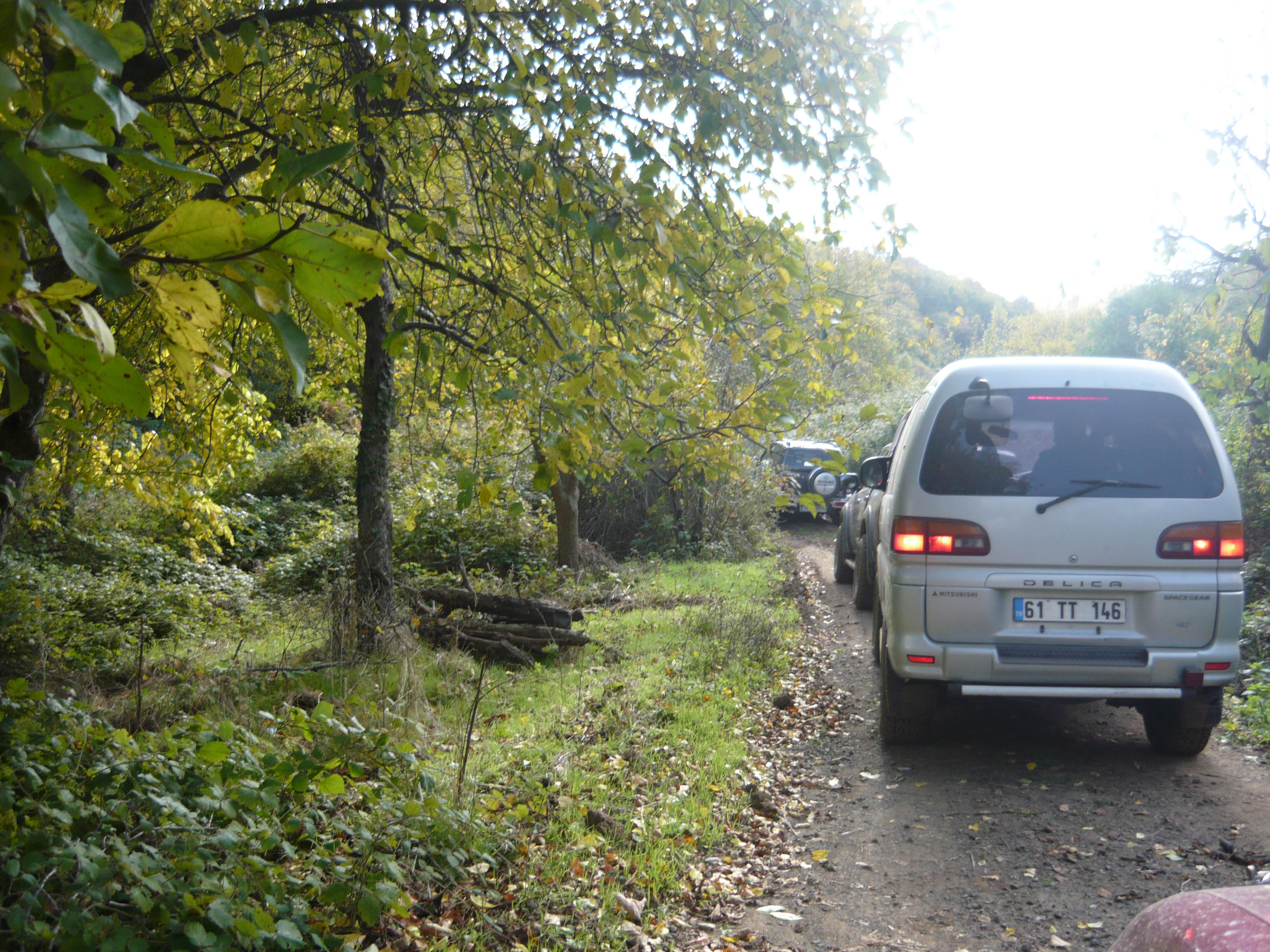 P1050544.jpg