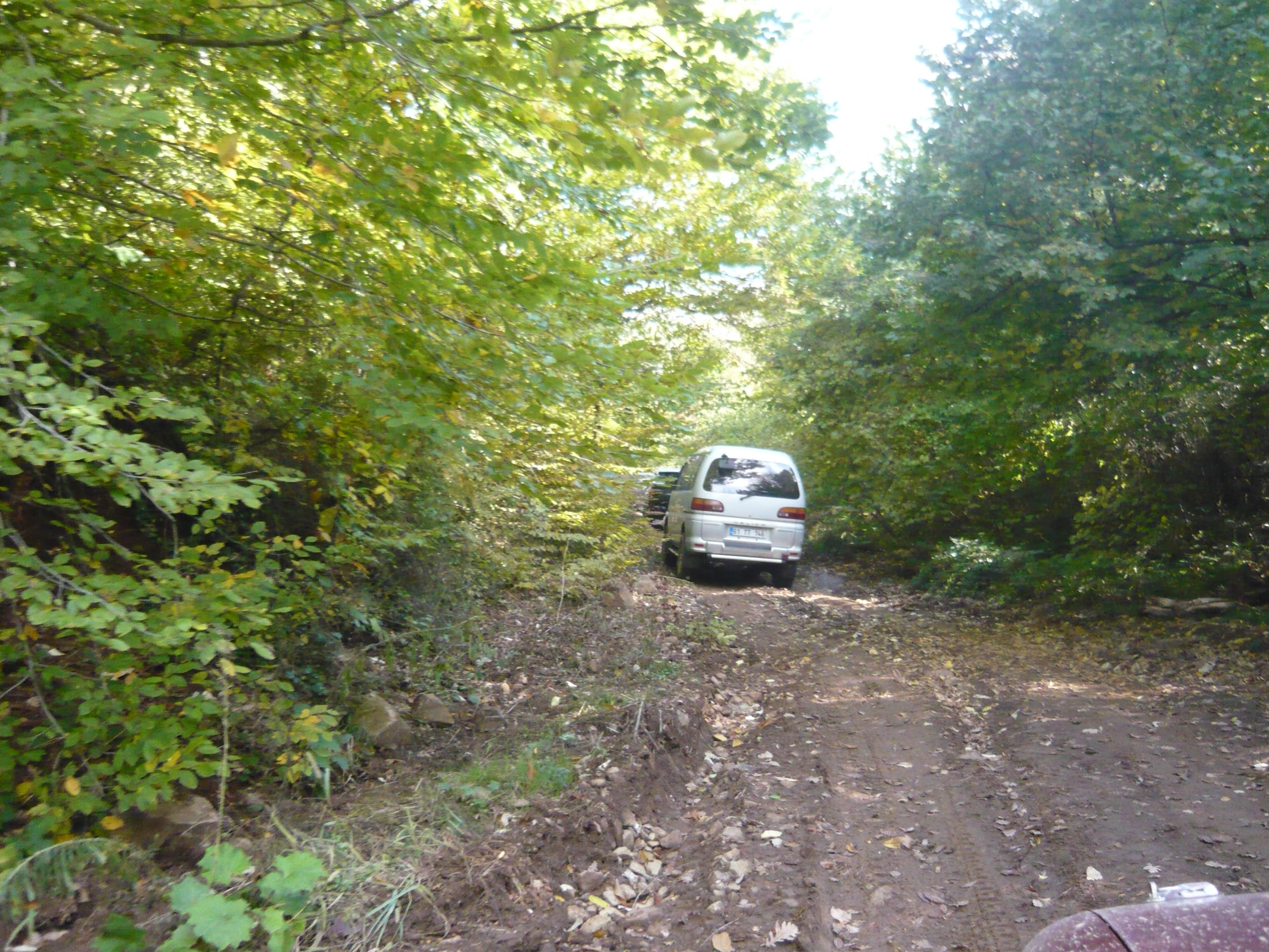 P1050546.jpg