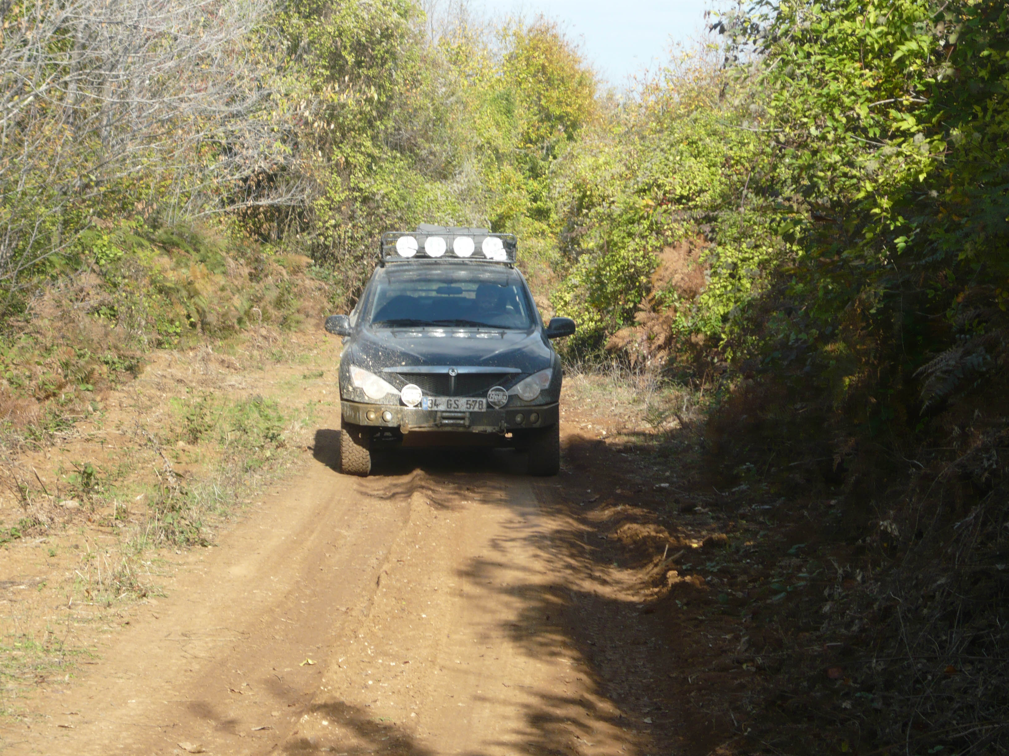 P1050547.jpg