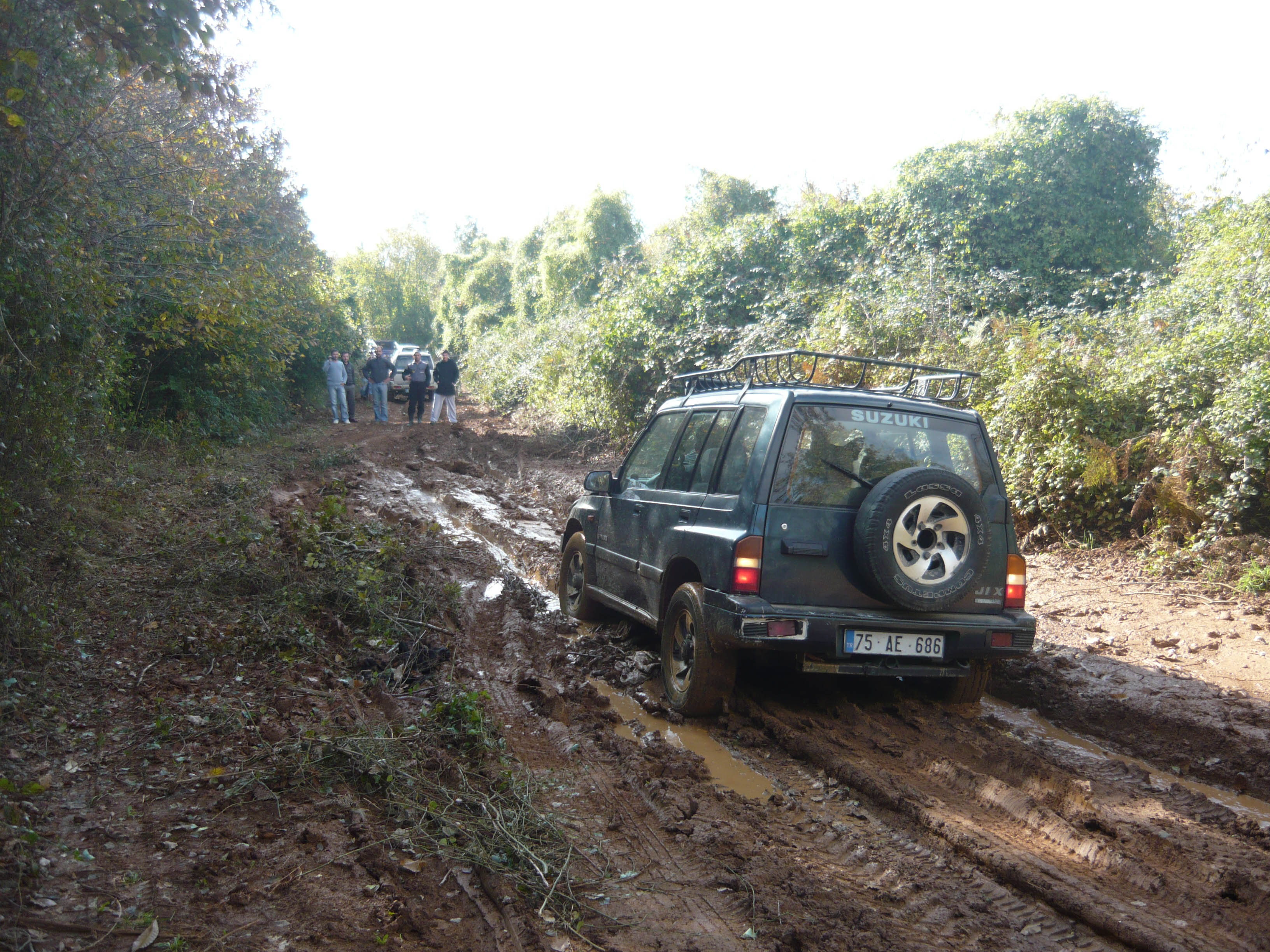 P1050554.jpg