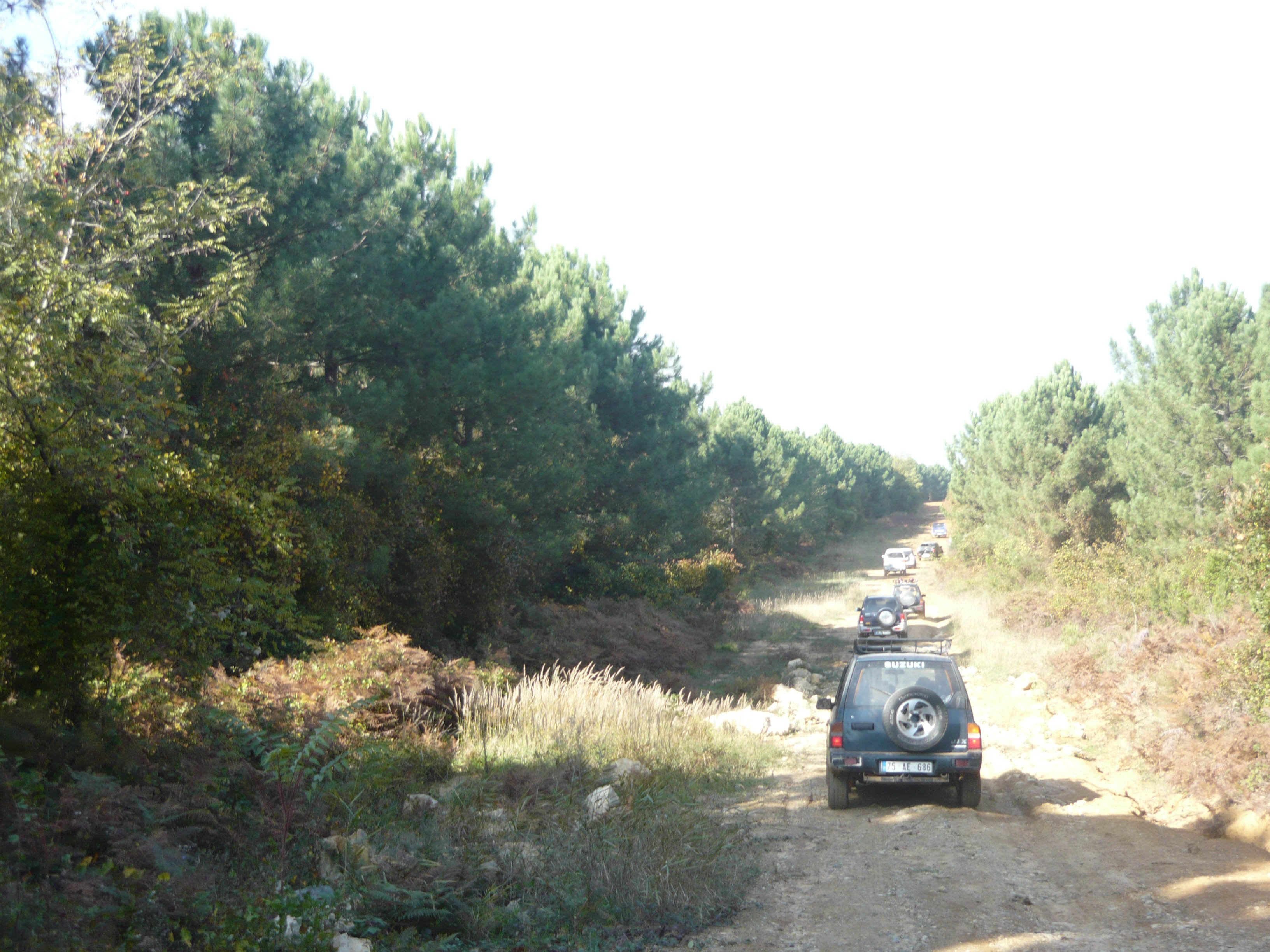 P1050584.jpg