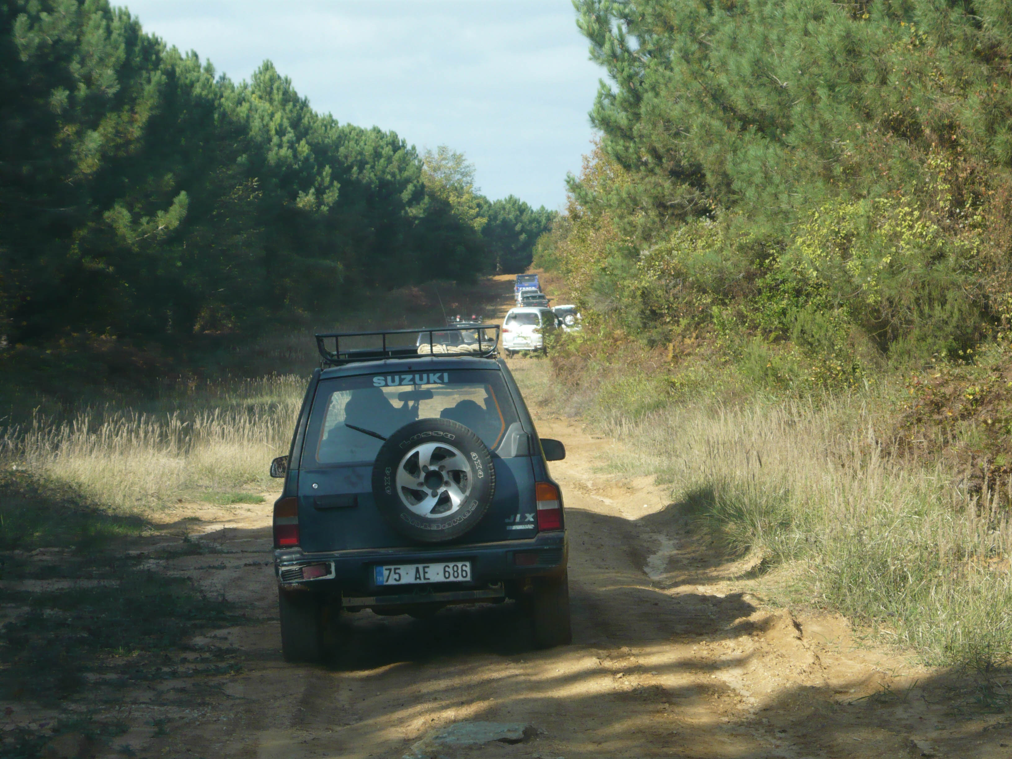 P1050585.jpg
