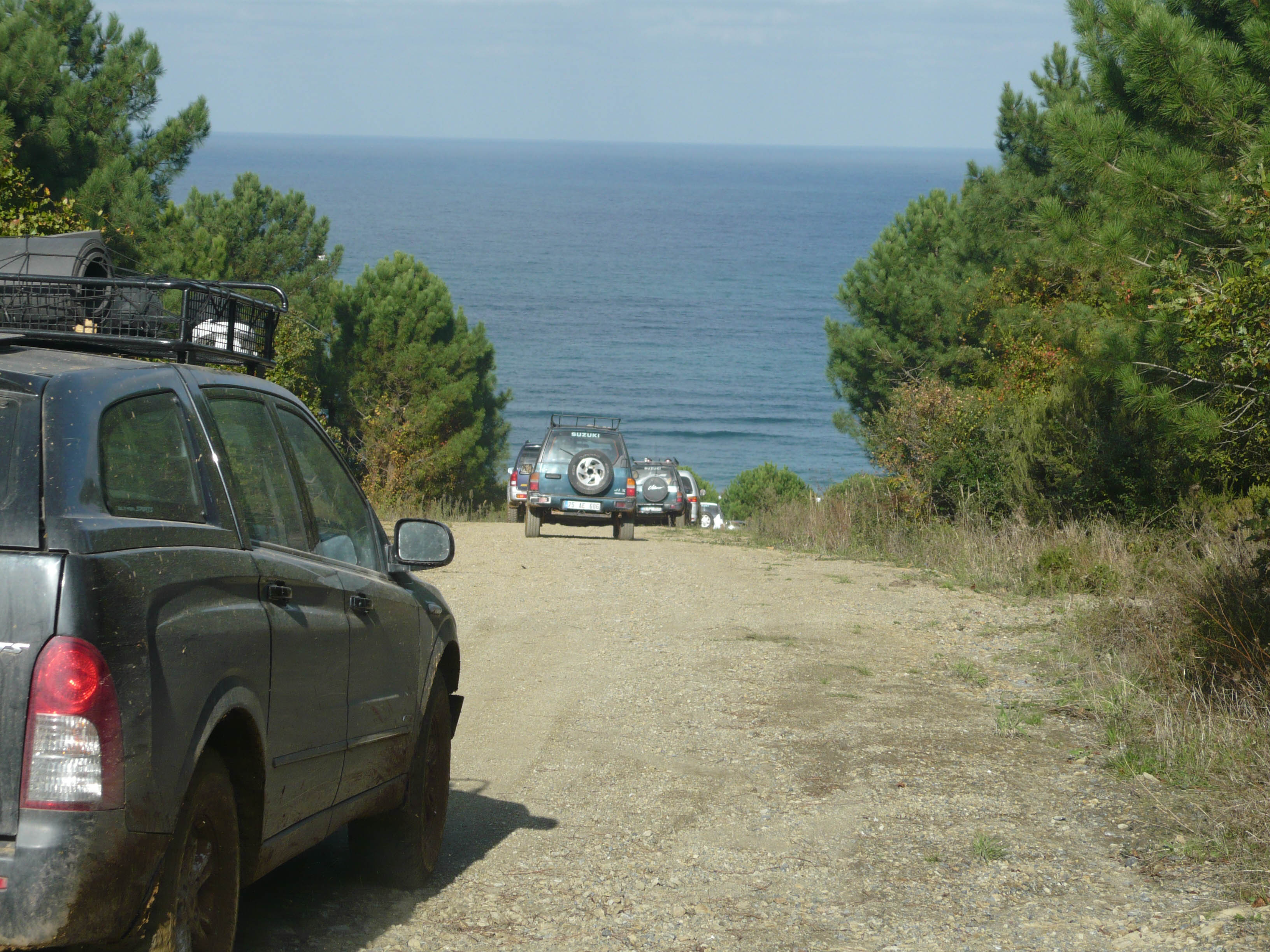 P1050591.jpg