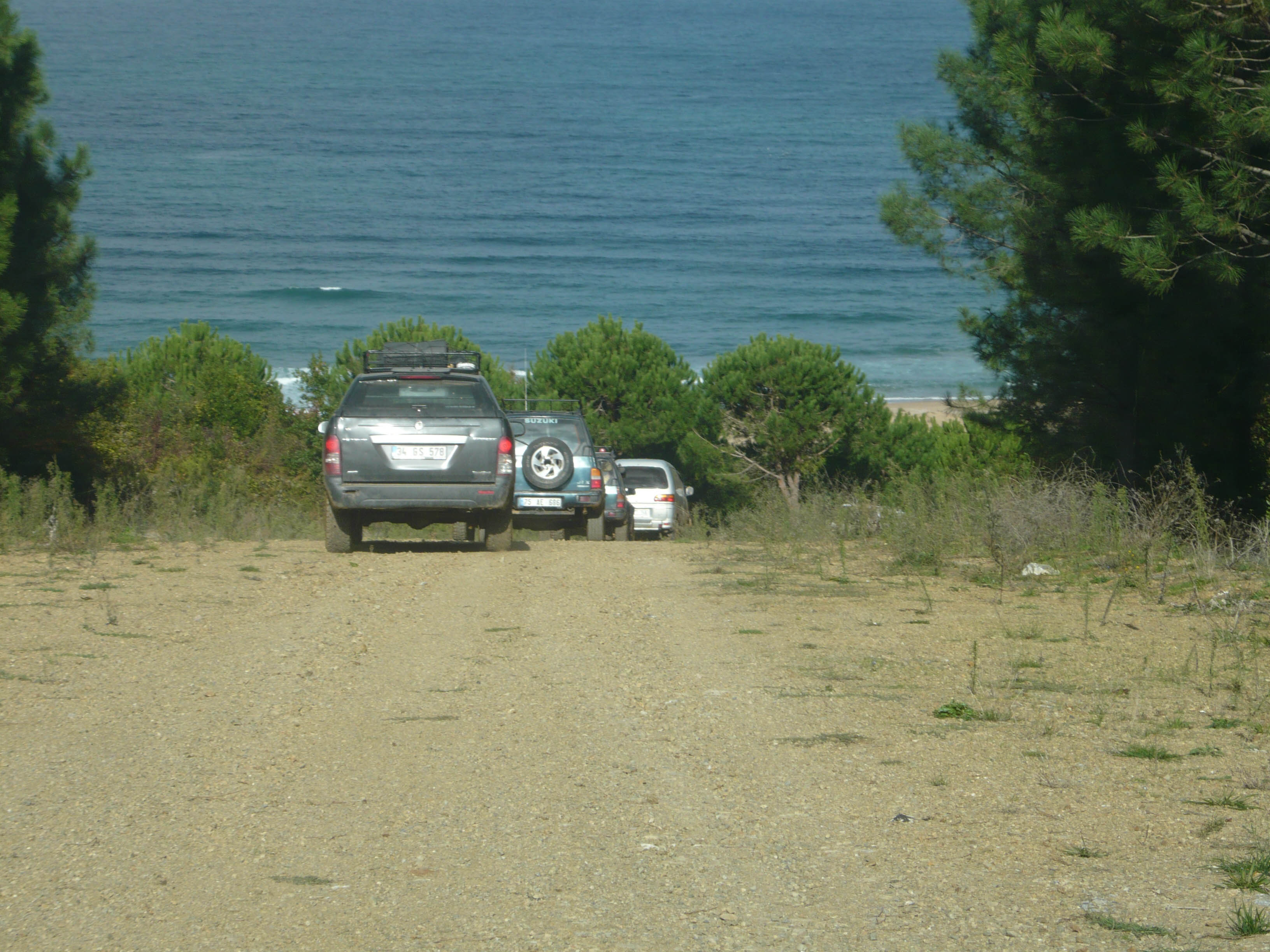 P1050593.jpg