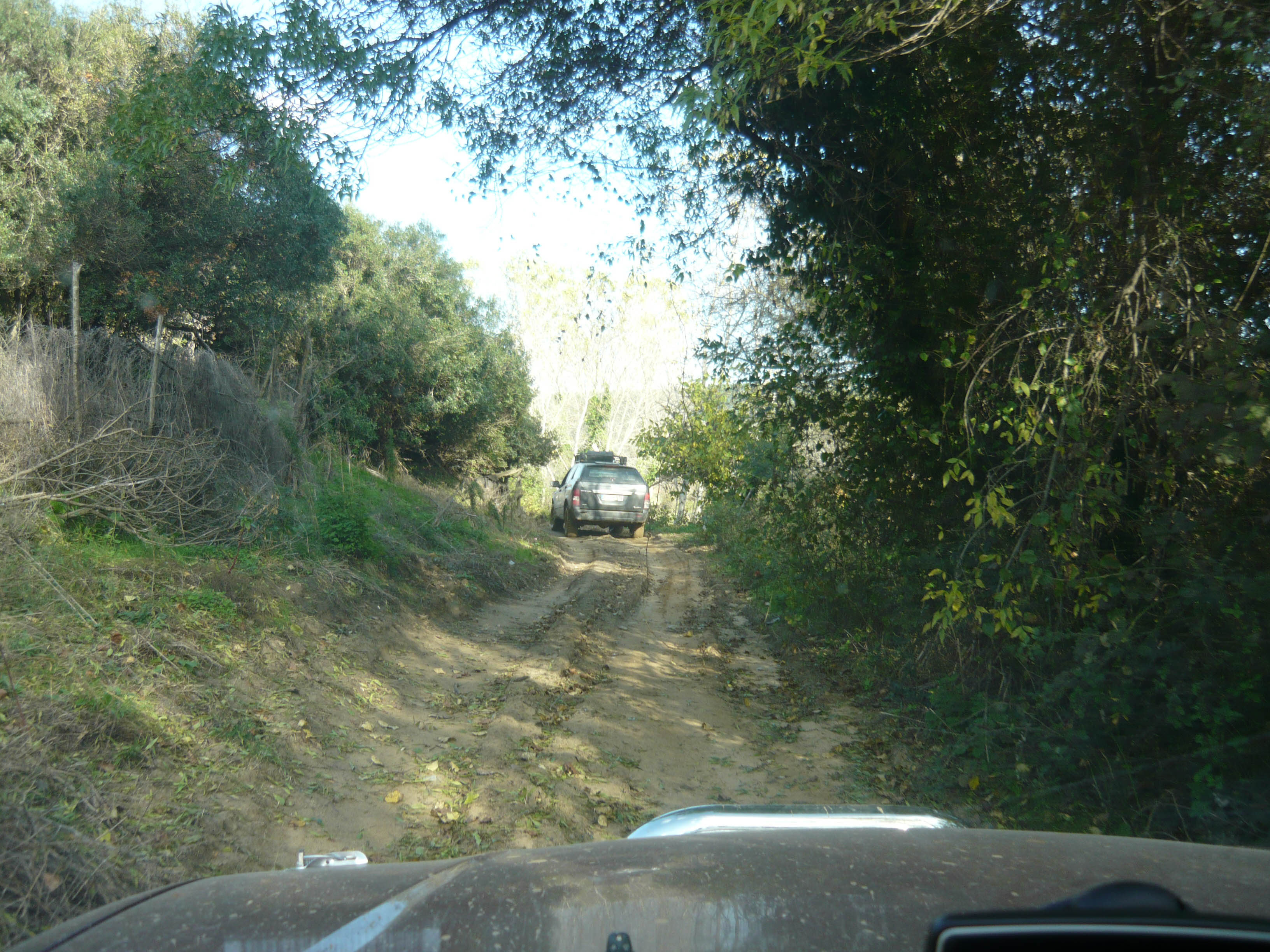 P1050727.jpg