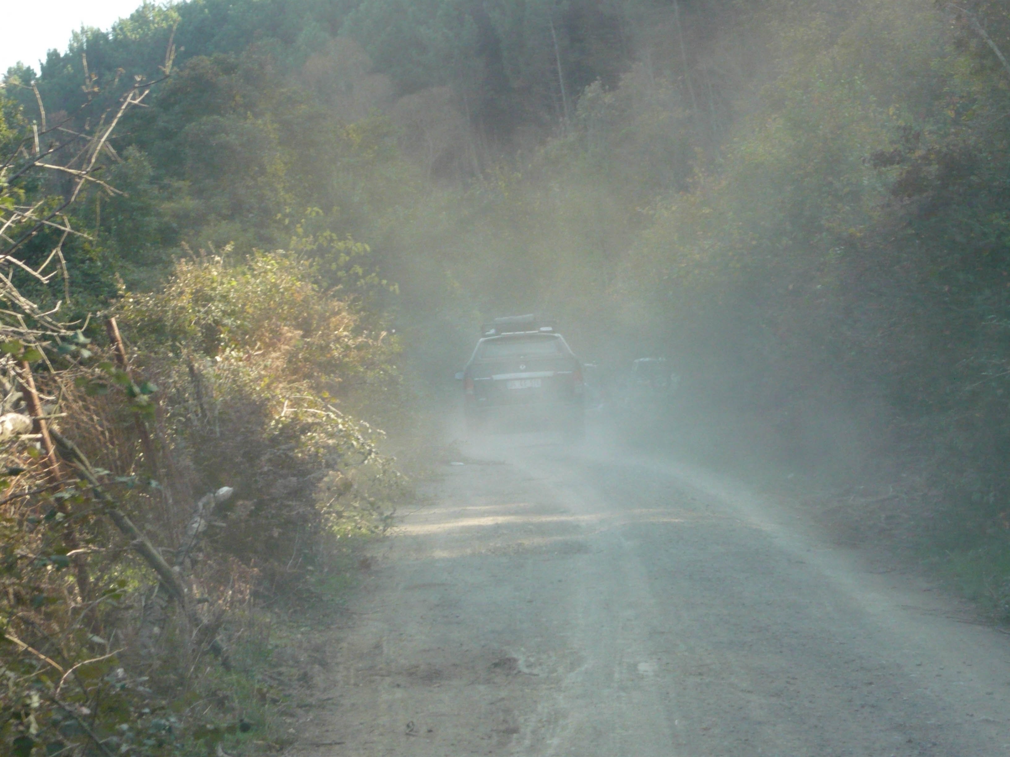 P1050730.jpg
