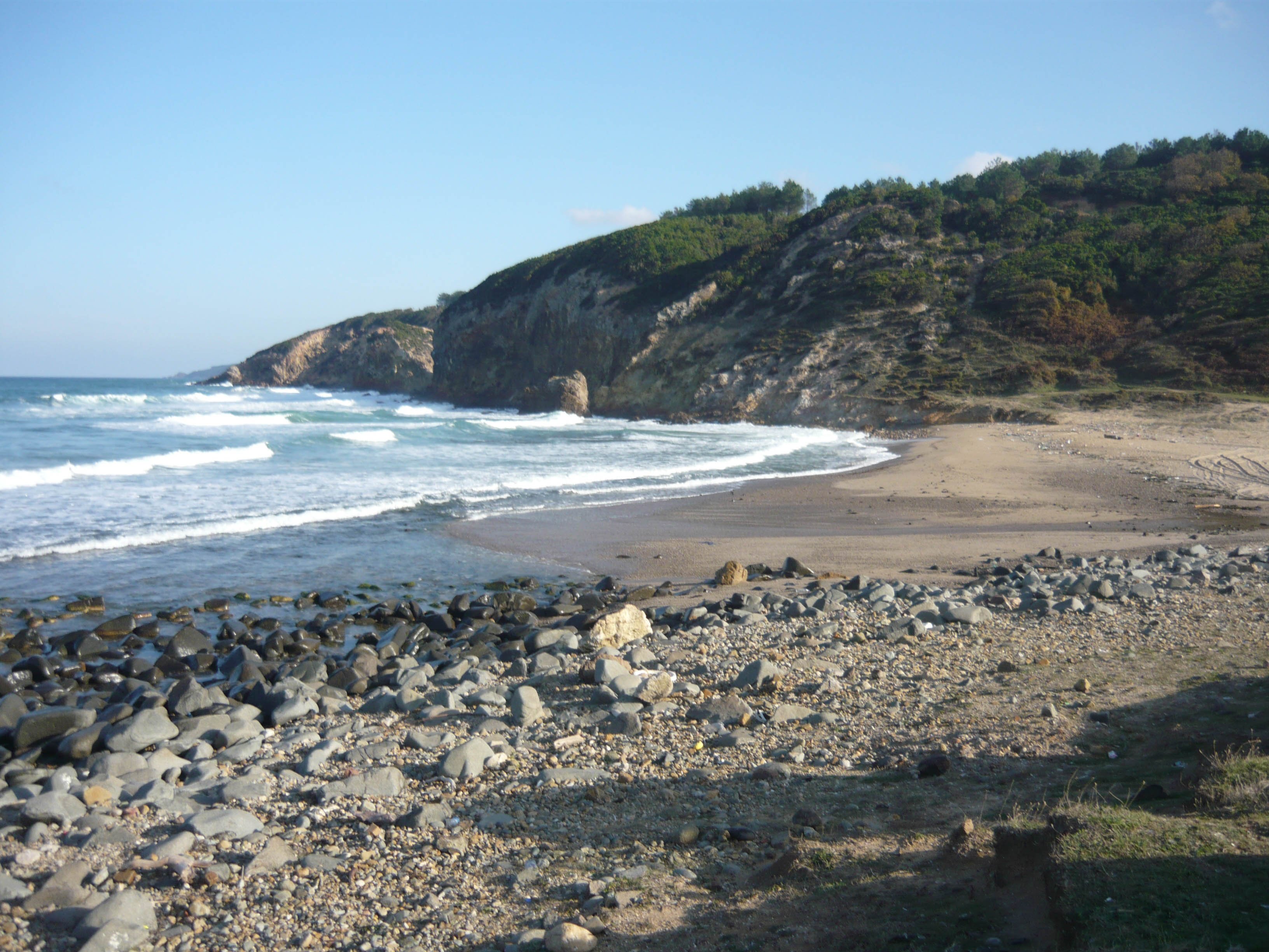 P1050734.jpg