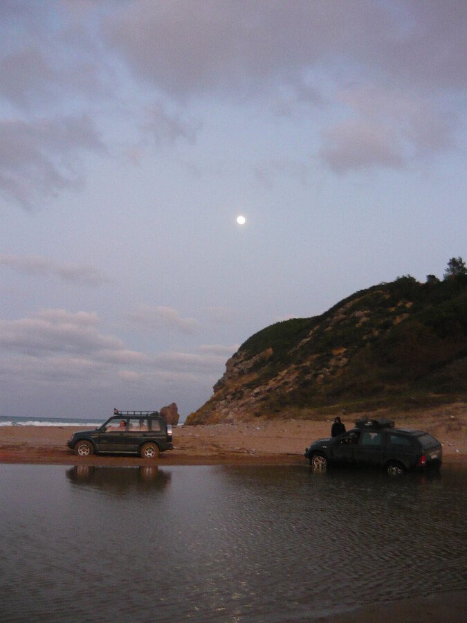 P1050833.jpg