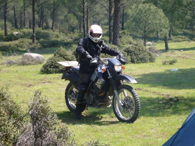 P1050833.jpg